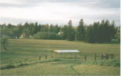 photo of the pasture areas