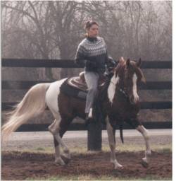 VM Shamir under saddle